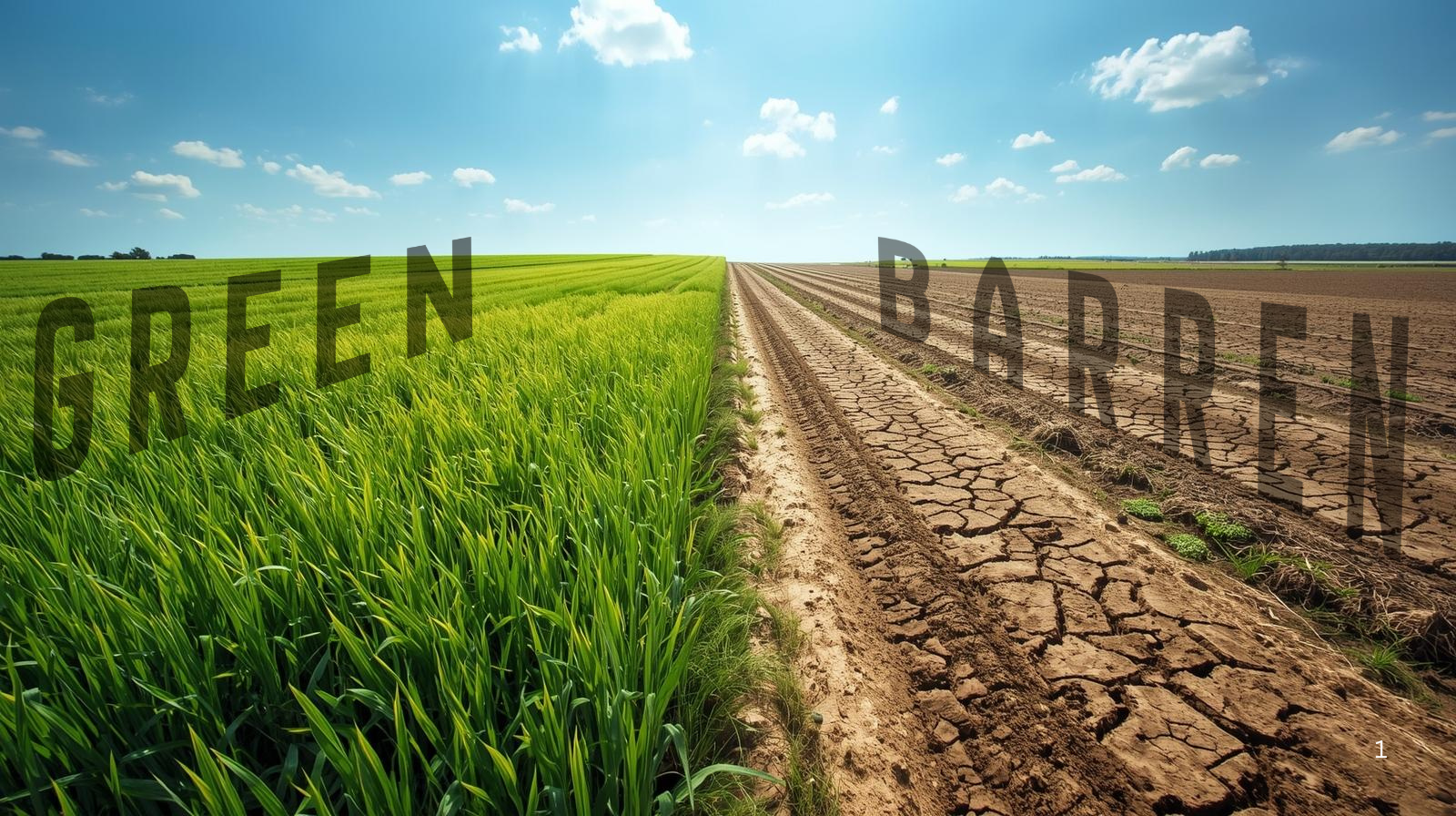 TBGF: The Agri Lens