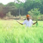 man, agriculture, farmer, agricultural, male, farm, men at work, rural, field, growth, crop, indian
